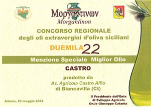 Attestato Morgantinon